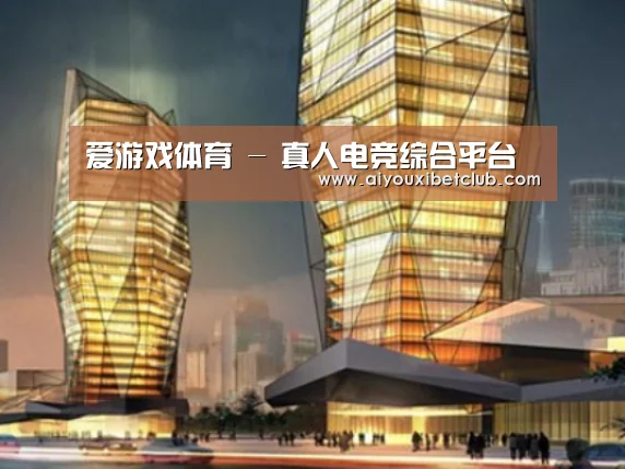 爱游戏娱乐案例展示二